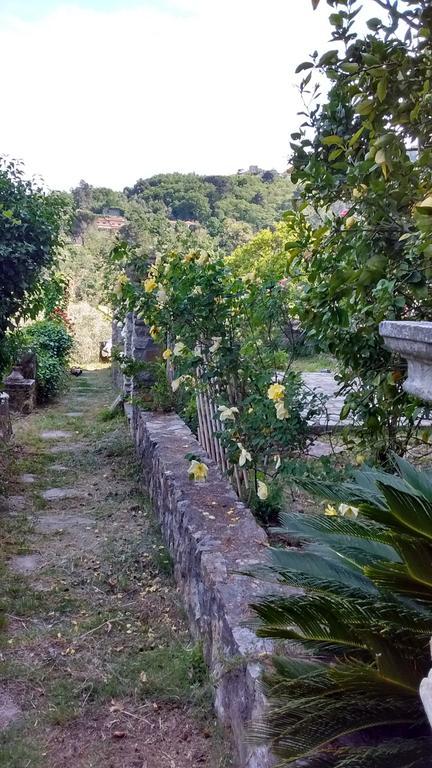 Villa Federiciラ・スペツィア エクステリア 写真