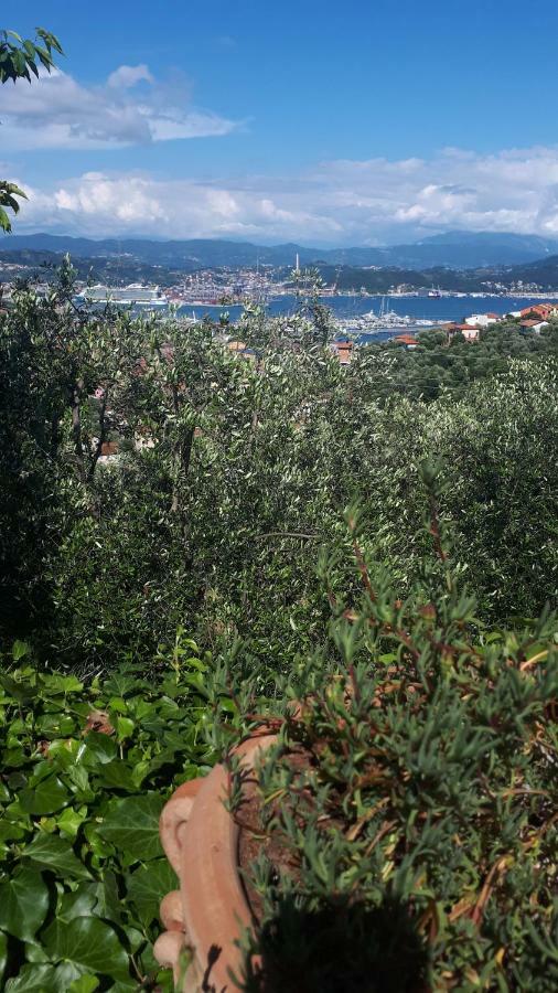 Villa Federiciラ・スペツィア エクステリア 写真