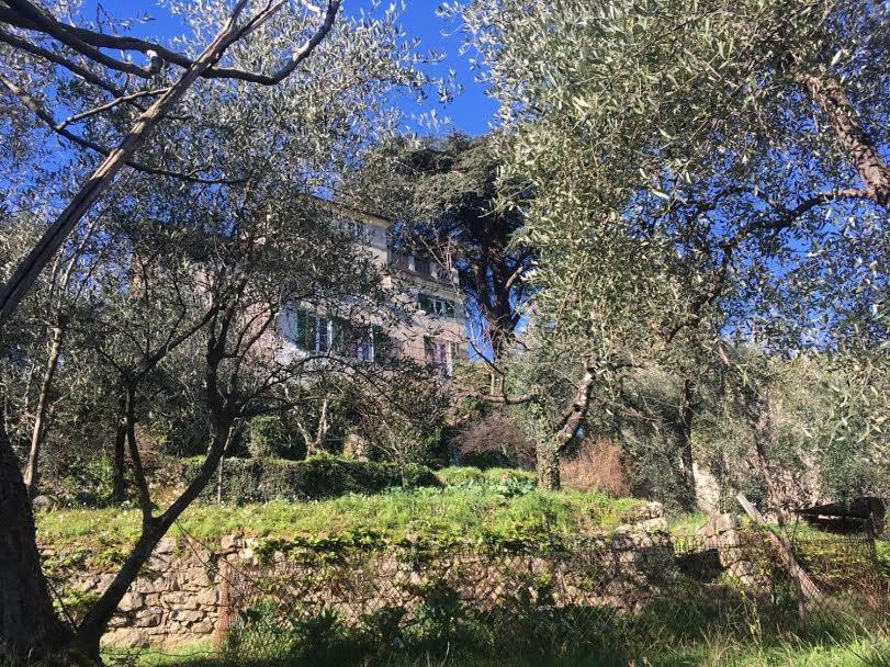 Villa Federiciラ・スペツィア エクステリア 写真